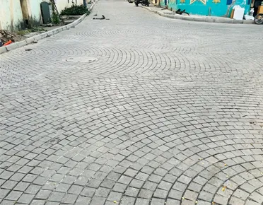 Cobble Stone Driveway