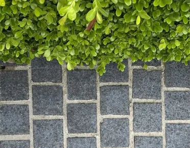 Cobble Stone Driveway