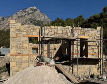 Cobble Stone Driveway