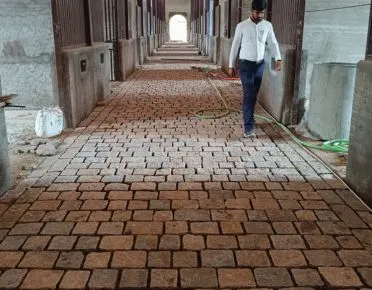 Cobble Stone Driveway